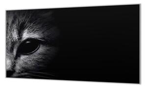 Ochranná deska detail hlavy kočky černobílé - 50x70cm / S lepením na zeď
