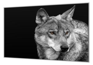 Ochranná deska s motivem šedý vlk - 52x60cm / S lepením na zeď