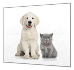 Ochranná deska bílé štěně a šedé kotě - 52x60cm / S lepením na zeď