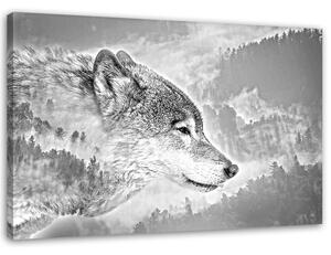 Obraz na plátně Vlk na sněhovém pozadí Rozměry: 60 x 40 cm
