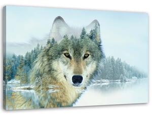 Obraz na plátně Vlk na pozadí hory Rozměry: 60 x 40 cm