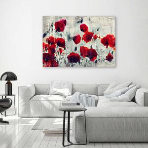 Obraz na plátně Malované červené máky na černobílé louce Rozměry: 60 x 40 cm