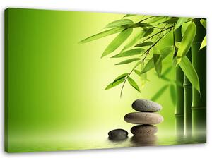 Obraz na plátně Zenové kameny a bambus na zeleném pozadí Rozměry: 60 x 40 cm
