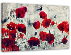 Obraz na plátně Malované červené máky na černobílé louce Rozměry: 60 x 40 cm