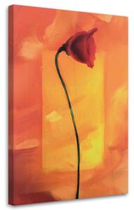 Gario Obraz Osamělý květ máku Velikost: 40 x 60 cm, Provedení: Obraz na plátně