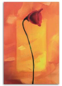 Obraz Osamělý květ máku Velikost: 40 x 60 cm, Provedení: Panelový obraz