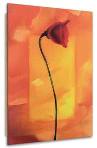 Gario Obraz Osamělý květ máku Velikost: 40 x 60 cm, Provedení: Panelový obraz
