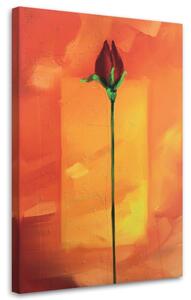 Gario Obraz Červená růže na oranžovém pozadí Velikost: 40 x 60 cm, Provedení: Obraz na plátně