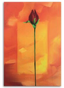 Obraz na plátně Červená růže na oranžovém pozadí Rozměry: 40 x 60 cm