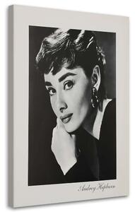 Obraz na plátně Audrey Hepburn - sépiový portrét Rozměry: 40 x 60 cm