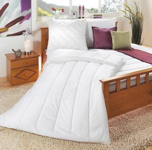 CELOROČNÍ PŘIKRÝVKA, 200/200 cm, polyester Centa-Star - Přikrývky, Online Only
