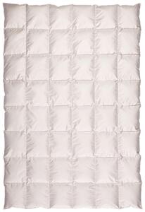 CELOROČNÍ PŘIKRÝVKA, 155/220 cm, prachové peří Centa-Star - Přikrývky, Online Only