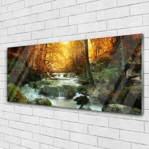 Plexisklo-obraz Vodopád Příroda Les Podzim 125x50 cm