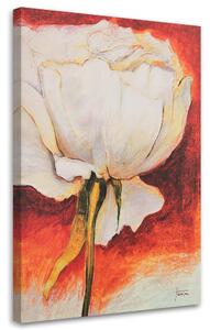 Gario Obraz Bílá pivoňka jako ručně malovaný Velikost: 40 x 60 cm, Provedení: Obraz na plátně