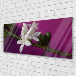 Plexisklo-obraz Květiny Úhonky Příroda 125x50 cm