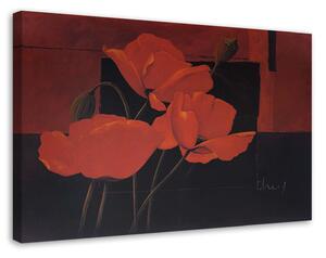 Obraz na plátně Pole červených máků Rozměry: 60 x 40 cm