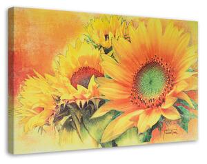 Obraz na plátně Slunečnice jako ručně malované Rozměry: 60 x 40 cm