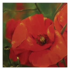 Obraz na plátně Červené máky na louce Rozměry: 30 x 30 cm