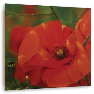 Obraz Červené máky na louce Rozměry: 50 x 50 cm, Provedení: Obraz na plátně