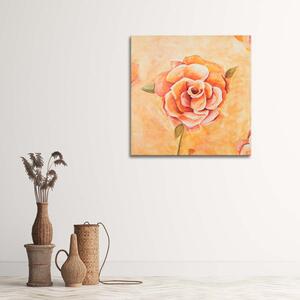 Obraz na plátně Oranžová růže v detailním záběru Rozměry: 30 x 30 cm