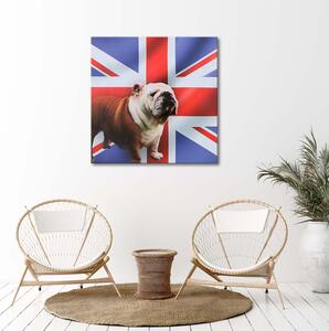 Obraz na plátně Anglický buldok na pozadí vlajky Rozměry: 30 x 30 cm