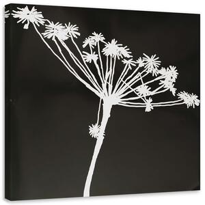 Obraz na plátně Bílý stín cyperus Rozměry: 30 x 30 cm