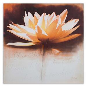 Obraz na plátně Vodní lilie květina Rozměry: 30 x 30 cm
