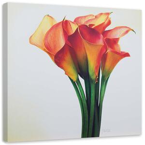 Obraz na plátně Kytice červených květů Rozměry: 30 x 30 cm