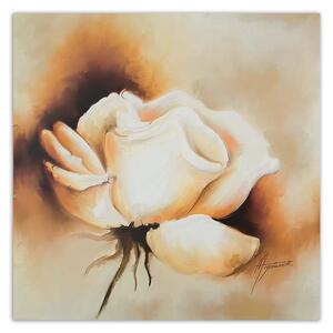 Obraz na plátně Bílá růže pupen Rozměry: 30 x 30 cm