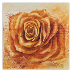 Obraz na plátně Oranžová růže hlava Rozměry: 30 x 30 cm