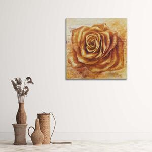 Obraz na plátně Oranžová růže hlava Rozměry: 30 x 30 cm