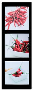 Obraz na plátně Červené chilli papričky na černém pozadí Rozměry: 30 x 90 cm