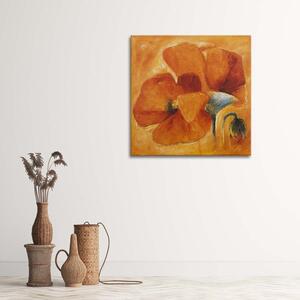 Obraz na plátně Oranžové máky v detailním záběru Rozměry: 30 x 30 cm