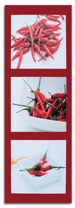 Obraz na plátně Červené chilli papričky na červeném pozadí Rozměry: 30 x 90 cm