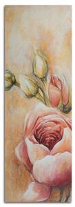 Obraz Růžové růže a poupata Velikost: 30 x 90 cm, Provedení: Panelový obraz