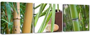 Sada obrazů na plátně Zenová bambusy - 3 dílná Rozměry: 90 x 30 cm