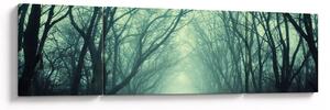 Obraz - Cesta s alejí stromů (170x50 cm)