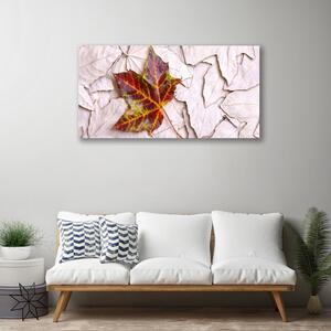 Obraz na plátně Listy Rostlina 100x50 cm