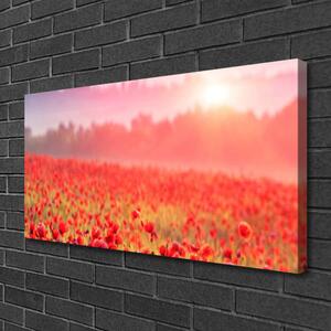 Obraz na plátně Louka Květiny Příroda 100x50 cm