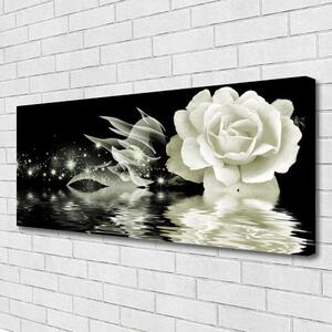 Obraz na plátně Růže Květ 100x50 cm