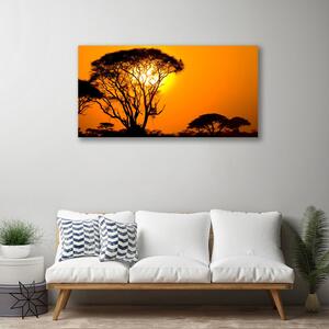 Obraz na plátně Strom Slunce Příroda 120x60 cm