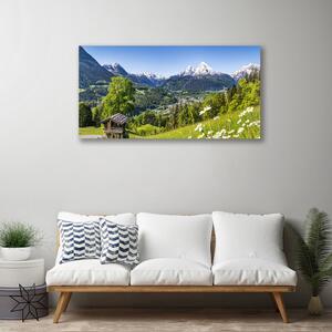 Obraz na plátně Hora Pole Příroda 120x60 cm
