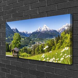 Obraz na plátně Hora Pole Příroda 100x50 cm