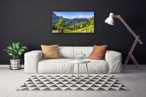 Obraz na plátně Hora Pole Příroda 125x50 cm