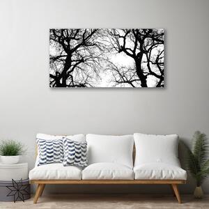 Obraz na plátně Stromy Příroda Černobílý 125x50 cm