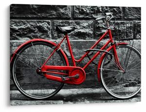 Obraz - Historický bicykl (70x50 cm)