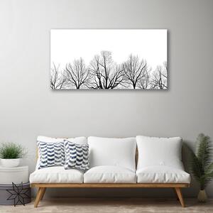 Obraz na plátně Stromy Rostlina Příroda 120x60 cm