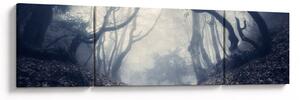 Obraz - Les v mlze (170x50 cm)