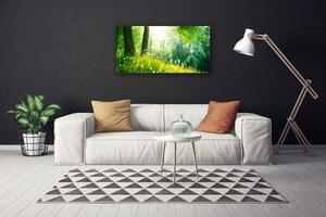 Obraz na plátně Louka Příroda Rostlina 140x70 cm
