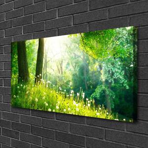 Obraz na plátně Louka Příroda Rostlina 140x70 cm